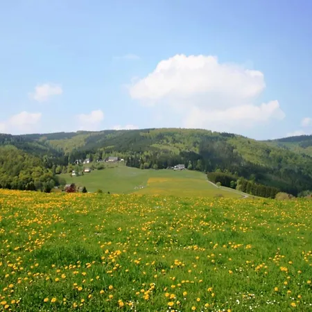In Mit Eigenem Garten فيلنغن
