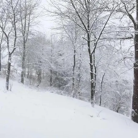 In Mit Eigenem Garten Willingen (Upland)