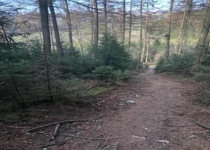 Hébergement de vacances In Mit Eigenem Garten Willingen (Upland)